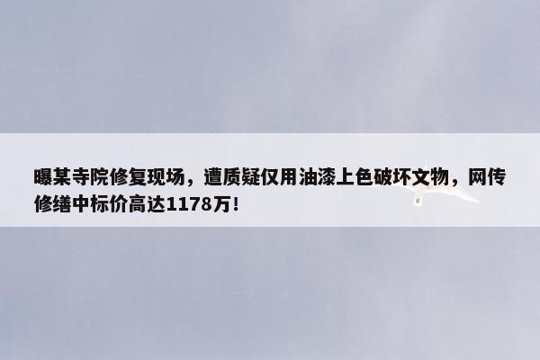 曝某寺院修复现场，遭质疑仅用油漆上色破坏文物，网传修缮中标价高达1178万！