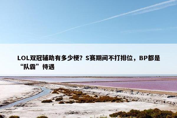 LOL双冠辅助有多少梗？S赛期间不打排位，BP都是“队霸”待遇