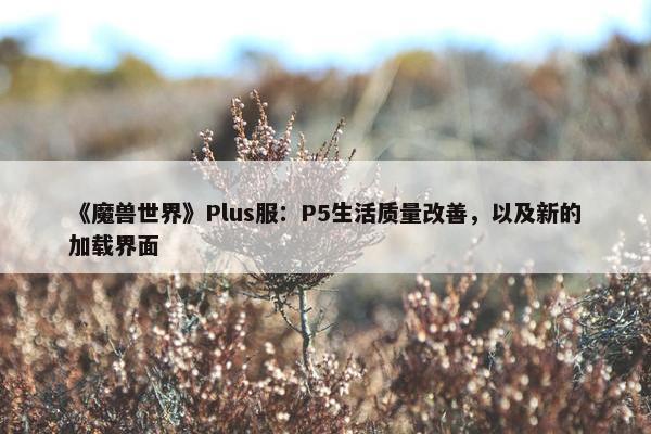 《魔兽世界》Plus服：P5生活质量改善，以及新的加载界面