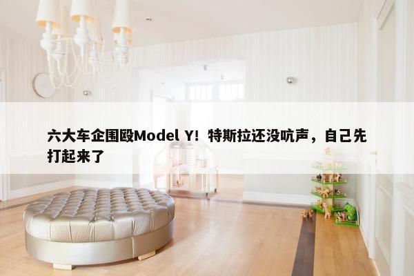 六大车企围殴Model Y！特斯拉还没吭声，自己先打起来了