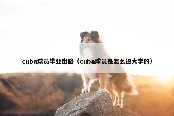 cuba球员毕业出路（cuba球员是怎么进大学的）