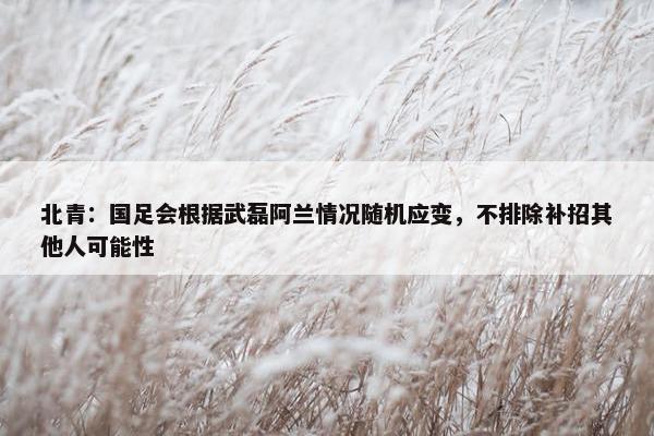 北青：国足会根据武磊阿兰情况随机应变，不排除补招其他人可能性