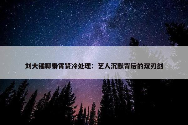 刘大锤聊秦霄贤冷处理：艺人沉默背后的双刃剑