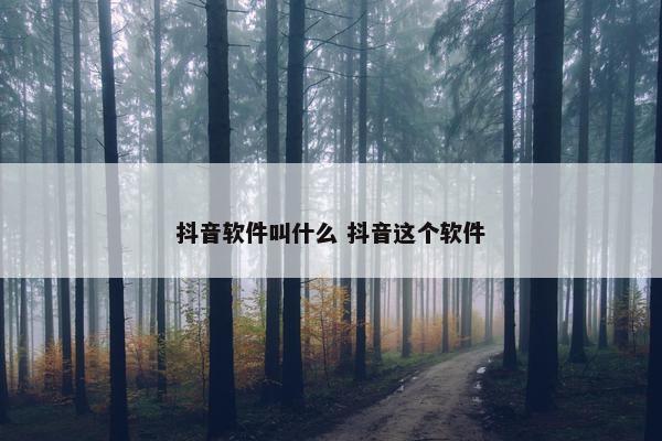 抖音软件叫什么 抖音这个软件