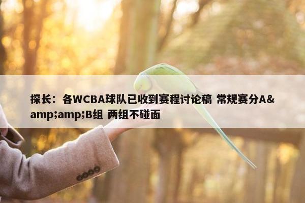 探长：各WCBA球队已收到赛程讨论稿 常规赛分A&amp;B组 两组不碰面