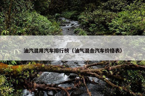 油汽混用汽车排行榜（油气混合汽车价格表）