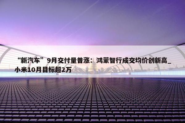 “新汽车”9月交付量普涨：鸿蒙智行成交均价创新高_小米10月目标超2万