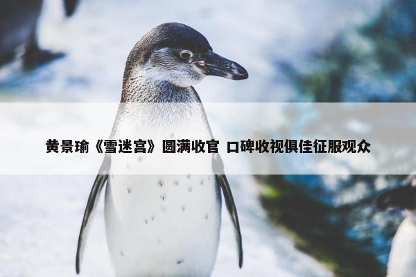 黄景瑜《雪迷宫》圆满收官 口碑收视俱佳征服观众