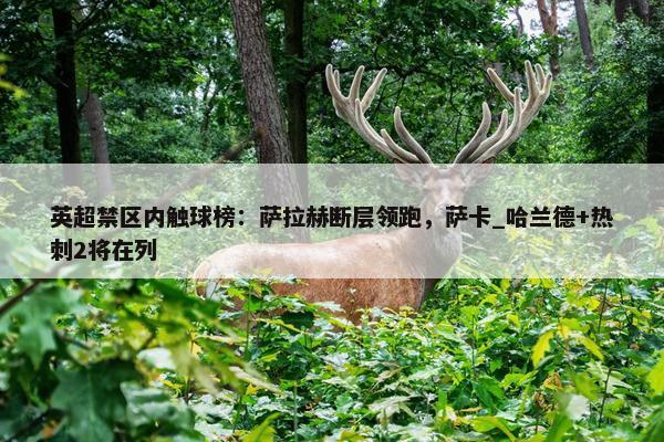 英超禁区内触球榜：萨拉赫断层领跑，萨卡_哈兰德+热刺2将在列