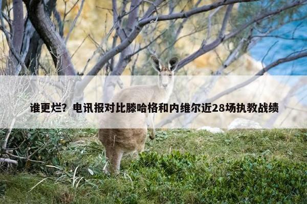 谁更烂？电讯报对比滕哈格和内维尔近28场执教战绩