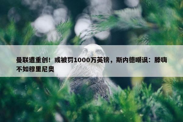 曼联遭重创！或被罚1000万英镑，斯内德嘲讽：滕嗨不如穆里尼奥