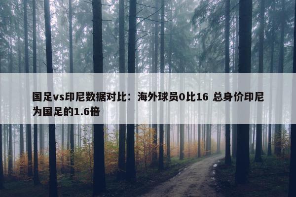 国足vs印尼数据对比：海外球员0比16 总身价印尼为国足的1.6倍