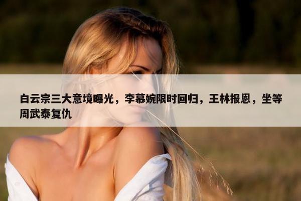 白云宗三大意境曝光，李慕婉限时回归，王林报恩，坐等周武泰复仇