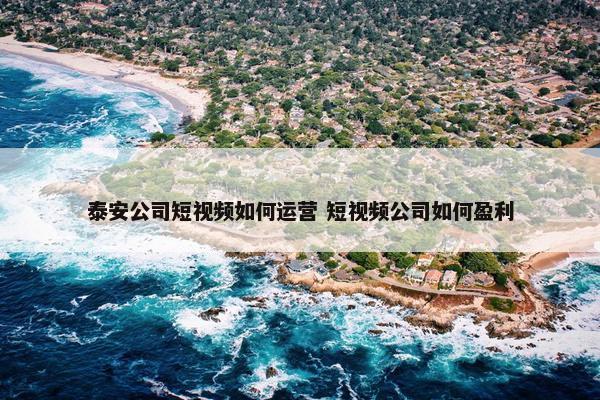 泰安公司短视频如何运营 短视频公司如何盈利