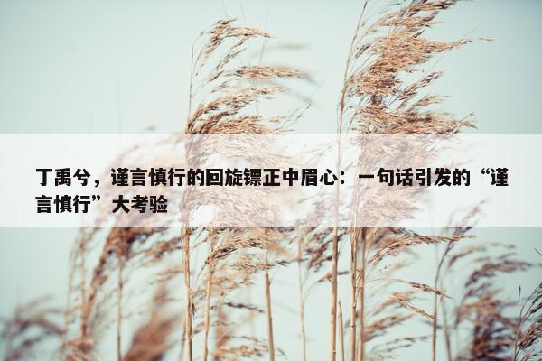 丁禹兮，谨言慎行的回旋镖正中眉心：一句话引发的“谨言慎行”大考验