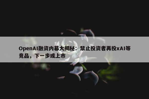 OpenAI融资内幕大揭秘：禁止投资者再投xAI等竞品，下一步或上市