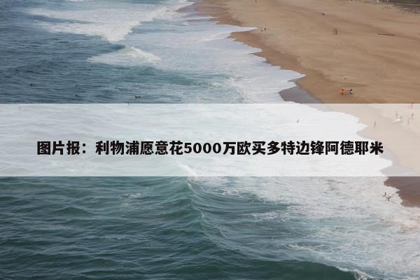 图片报：利物浦愿意花5000万欧买多特边锋阿德耶米