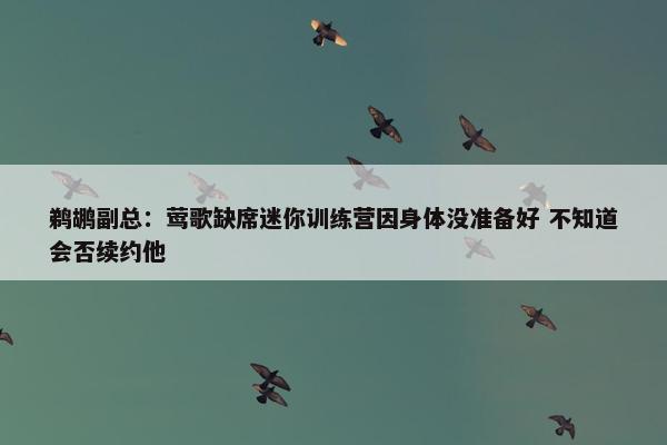 鹈鹕副总：莺歌缺席迷你训练营因身体没准备好 不知道会否续约他