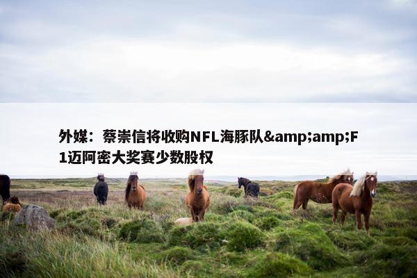 外媒：蔡崇信将收购NFL海豚队&F1迈阿密大奖赛少数股权