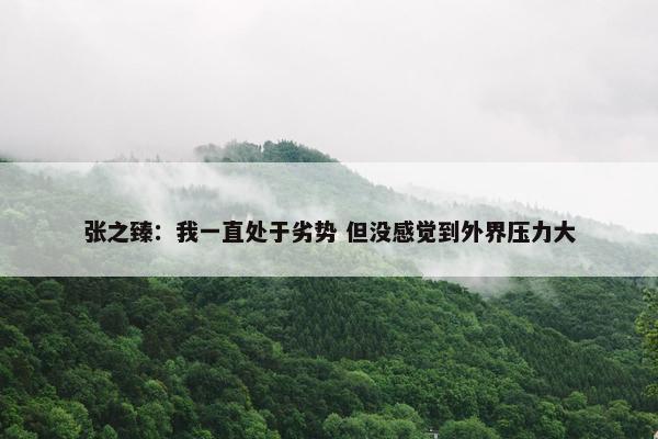 张之臻：我一直处于劣势 但没感觉到外界压力大