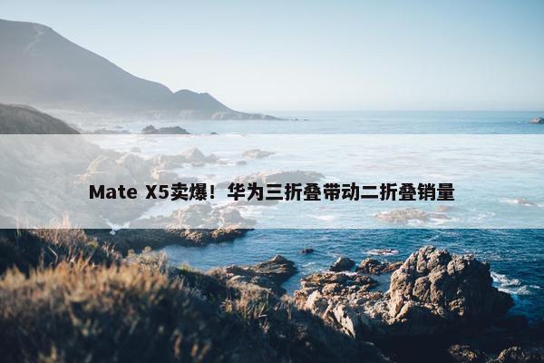 Mate X5卖爆！华为三折叠带动二折叠销量