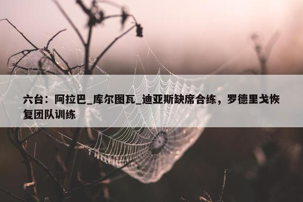 六台：阿拉巴_库尔图瓦_迪亚斯缺席合练，罗德里戈恢复团队训练