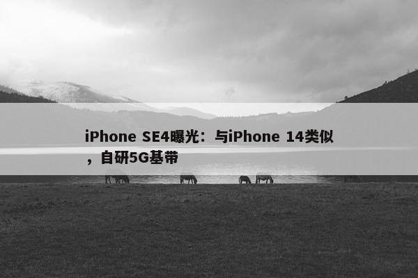 iPhone SE4曝光：与iPhone 14类似，自研5G基带