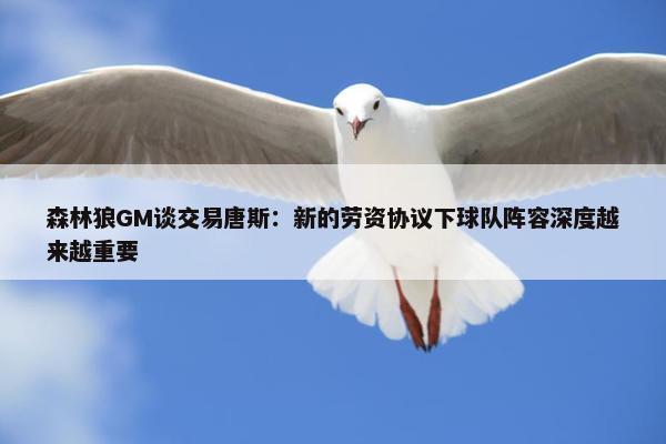 森林狼GM谈交易唐斯：新的劳资协议下球队阵容深度越来越重要