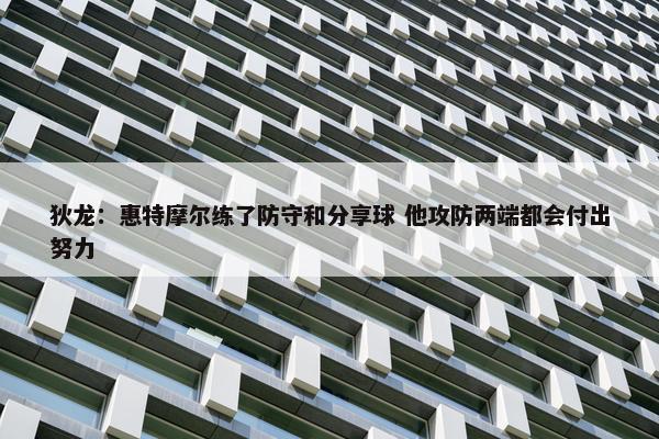 狄龙：惠特摩尔练了防守和分享球 他攻防两端都会付出努力