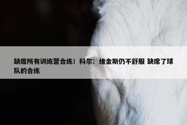 缺席所有训练营合练！科尔：维金斯仍不舒服 缺席了球队的合练