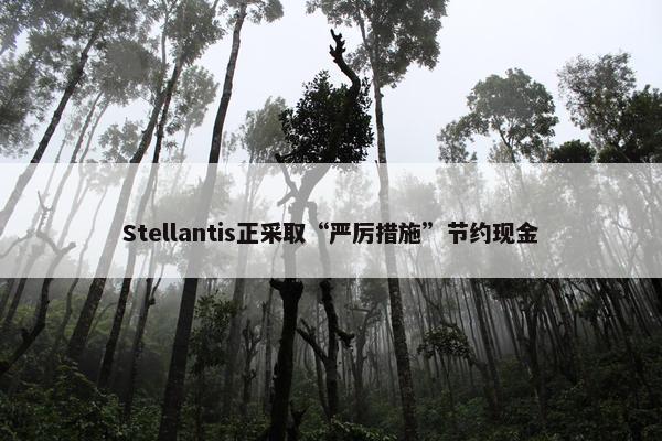 Stellantis正采取“严厉措施”节约现金