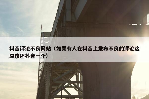 抖音评论不良网站（如果有人在抖音上发布不良的评论这应该还抖音一个）