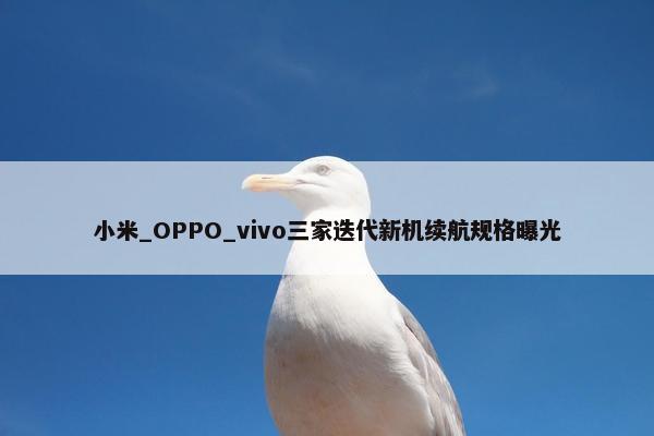 小米_OPPO_vivo三家迭代新机续航规格曝光