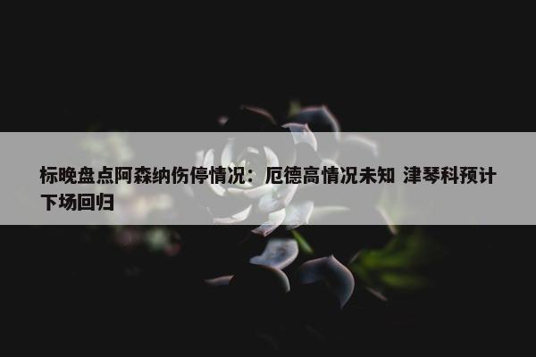 标晚盘点阿森纳伤停情况：厄德高情况未知 津琴科预计下场回归