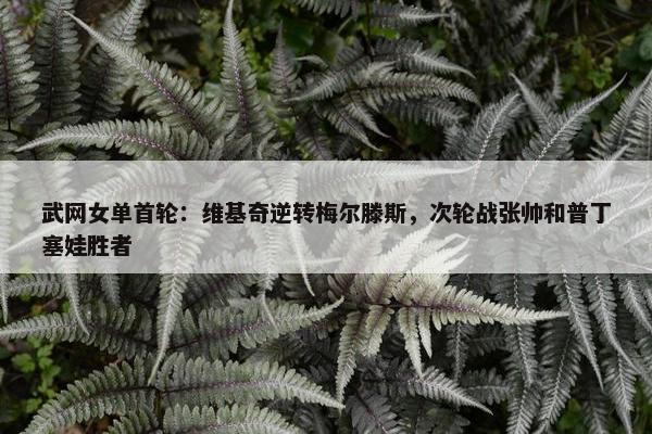 武网女单首轮：维基奇逆转梅尔滕斯，次轮战张帅和普丁塞娃胜者