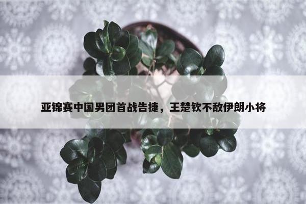 亚锦赛中国男团首战告捷，王楚钦不敌伊朗小将