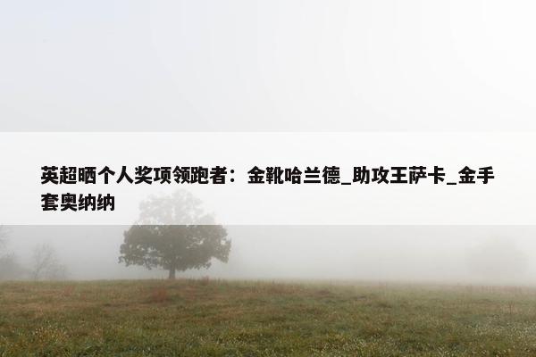 英超晒个人奖项领跑者：金靴哈兰德_助攻王萨卡_金手套奥纳纳