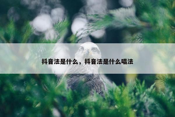 抖音法是什么，抖音法是什么唱法