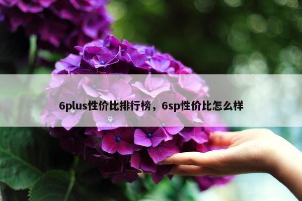 6plus性价比排行榜，6sp性价比怎么样