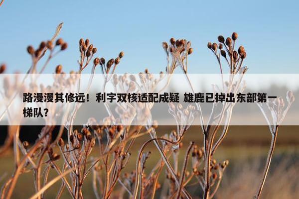 路漫漫其修远！利字双核适配成疑 雄鹿已掉出东部第一梯队？