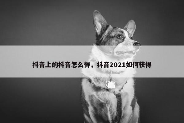 抖音上的抖音怎么得，抖音2021如何获得