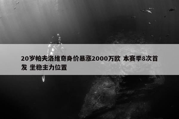 20岁帕夫洛维奇身价暴涨2000万欧 本赛季8次首发 坐稳主力位置