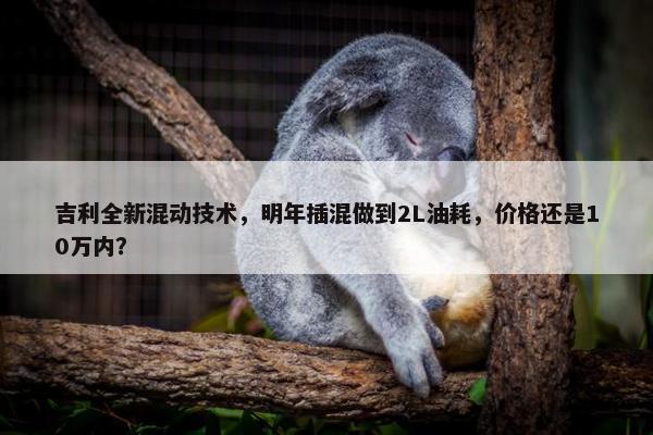 吉利全新混动技术，明年插混做到2L油耗，价格还是10万内？