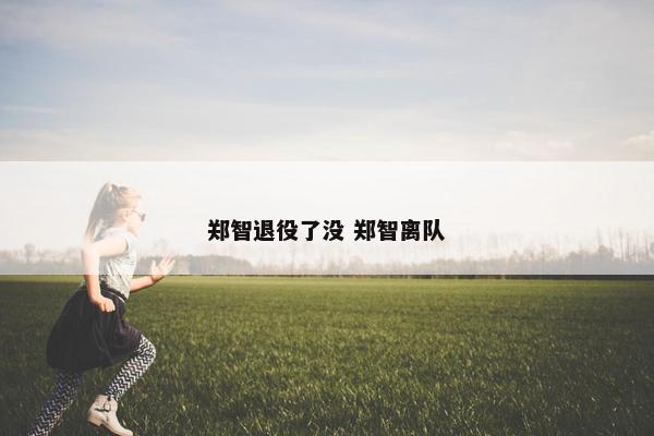 郑智退役了没 郑智离队