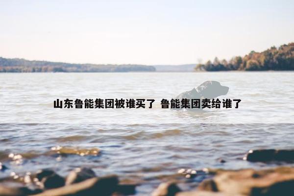 山东鲁能集团被谁买了 鲁能集团卖给谁了