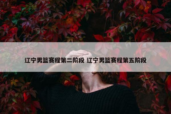 辽宁男篮赛程第二阶段 辽宁男篮赛程第五阶段