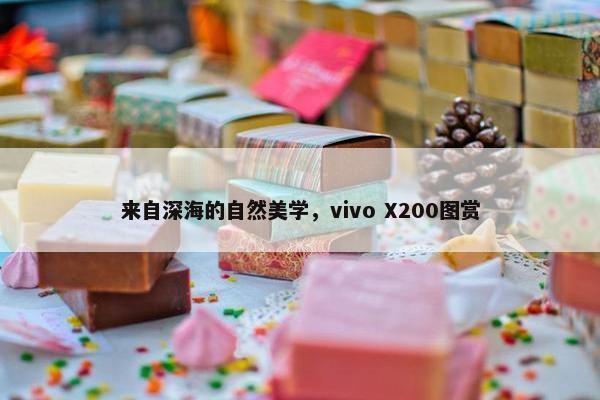 来自深海的自然美学，vivo X200图赏