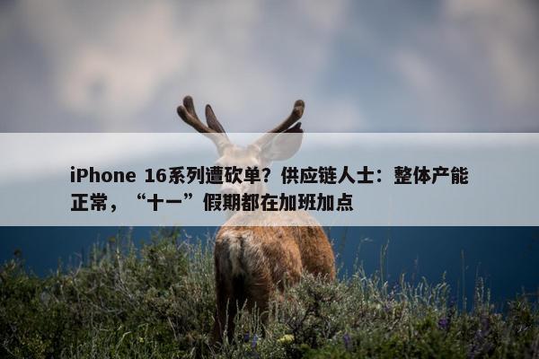 iPhone 16系列遭砍单？供应链人士：整体产能正常，“十一”假期都在加班加点