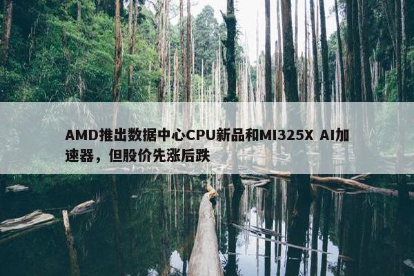 AMD推出数据中心CPU新品和MI325X AI加速器，但股价先涨后跌