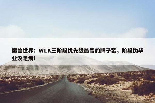 魔兽世界：WLK三阶段优先级最高的牌子装，阶段伪毕业没毛病！